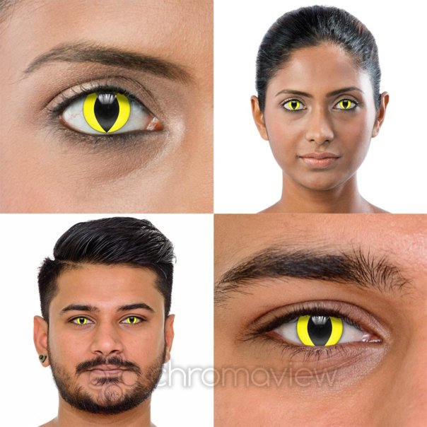Lentilles Chat Jaune Avec Correction 90 Jours | Chromaview Fr