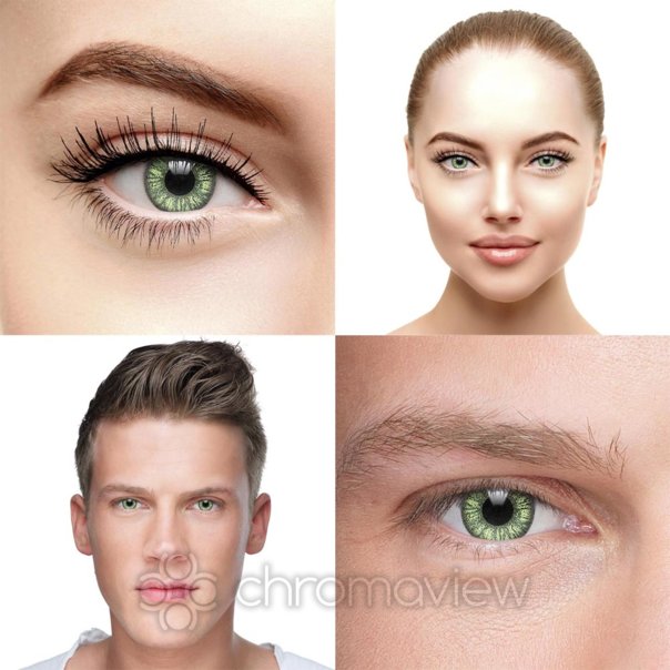 Contatto Giornaliere Lenti Colorate Verdi Non Graduate Lenti A